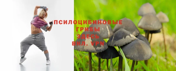 ешки Иноземцево