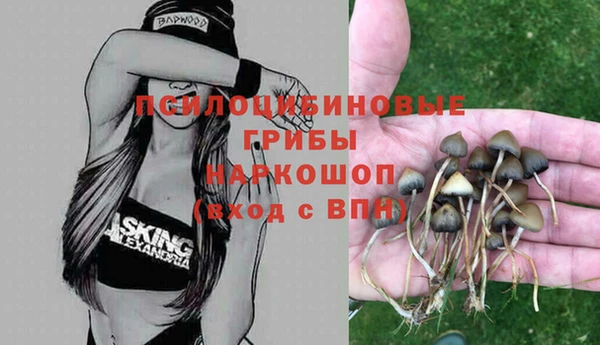 дмт Куйбышев
