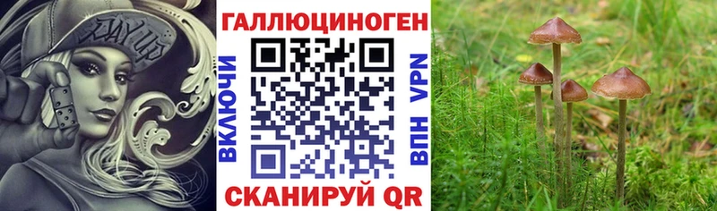 Галлюциногенные грибы мицелий  где можно купить наркотик  Урай 