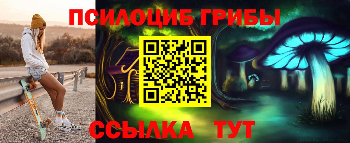 Псилоцибиновые грибы GOLDEN TEACHER Урай